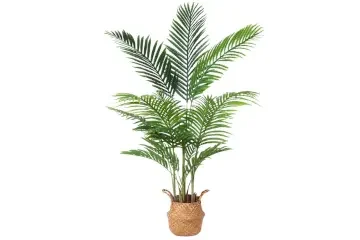 Palmera de 140 cm