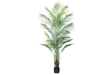 Palmera de 170 cm