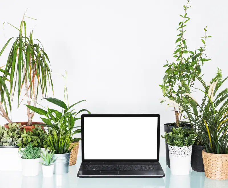 Plantas artificiales para oficina