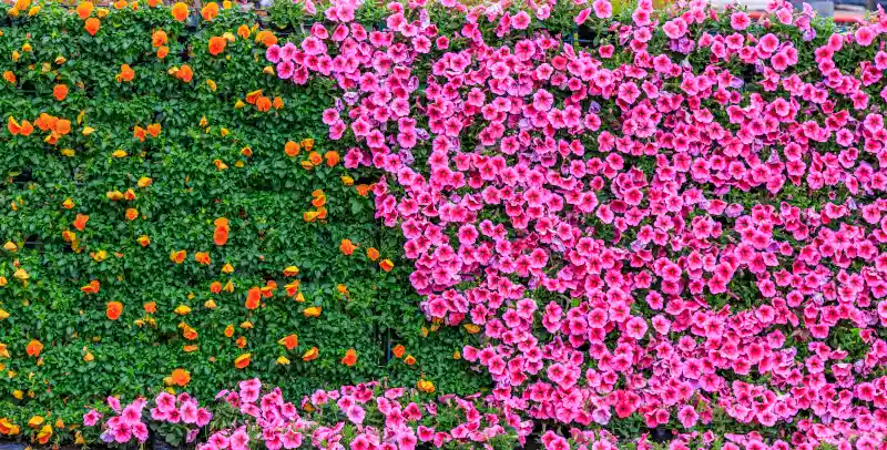 Paredes con plantas artificiales