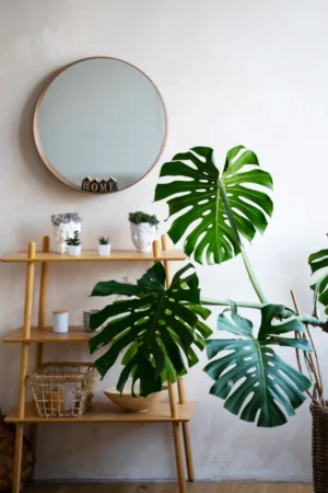 Decoración de baños con flores artificiales