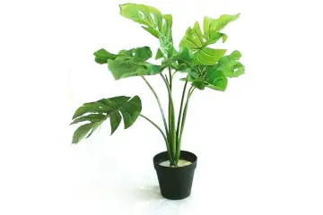 Planta artificial monstera 60 cm - blaine